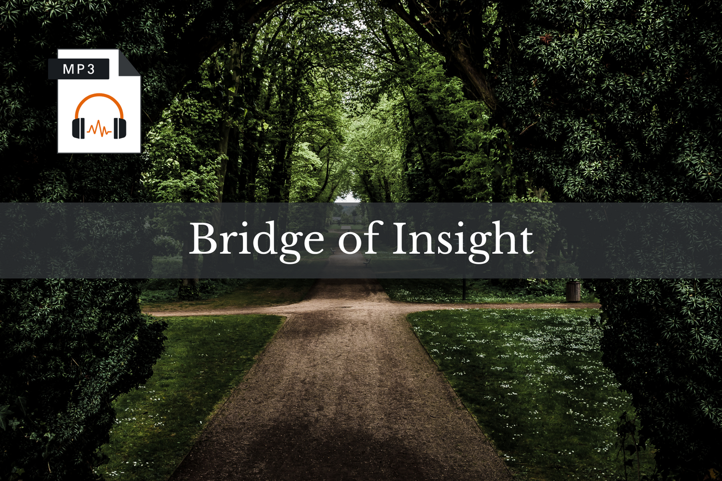 Bridge of Insight Hypnosis Recording